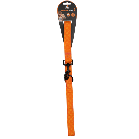 Spotted! Pro Perfect Leash 120 cm Orange