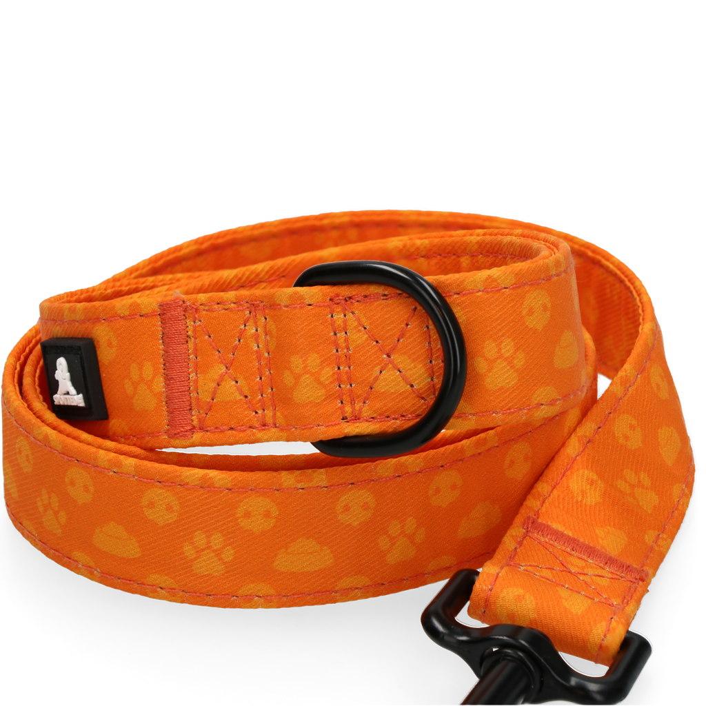 Spotted! Pro Perfect Leash 120 cm Orange
