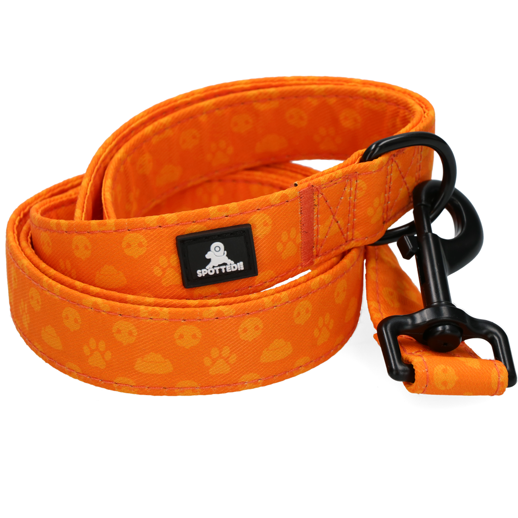 Spotted! Pro Perfect Leash 120 cm Orange