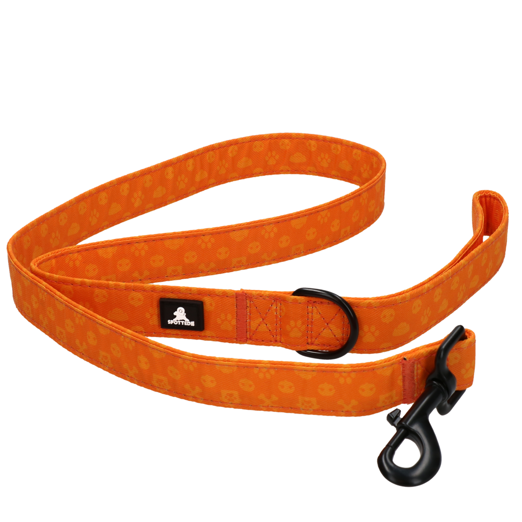 Spotted! Pro Perfect Leash 120 cm Orange
