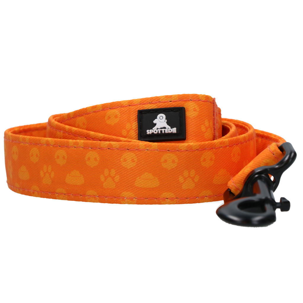 Spotted! Pro Perfect Leash 120 cm Orange