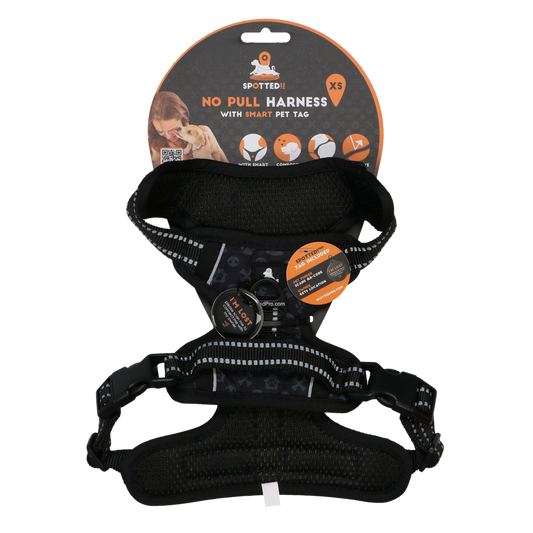 Spotted! Pro No Pull Harnas Dunkelgrau XS