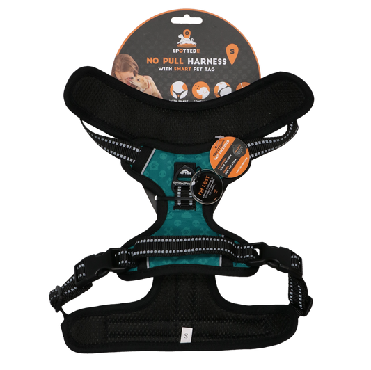 Spotted! Pro No Pull Harnas Grün S