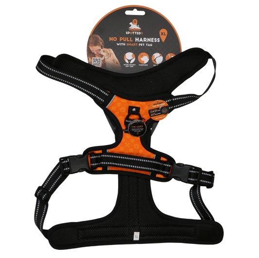 Spotted! Pro No Pull Harnas Orange XL