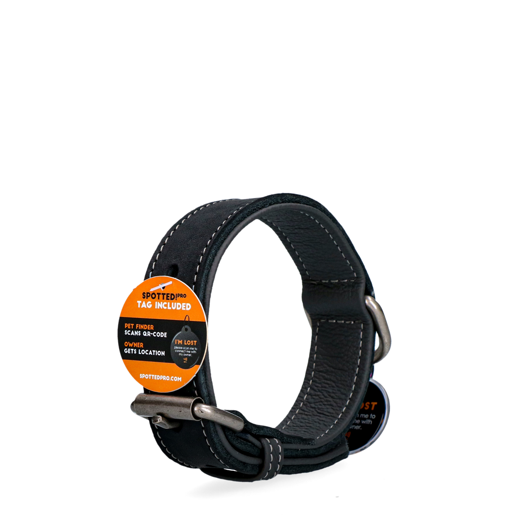 Spotted! Pro Lederhalsband Schwarz 2,5 x 45 cm