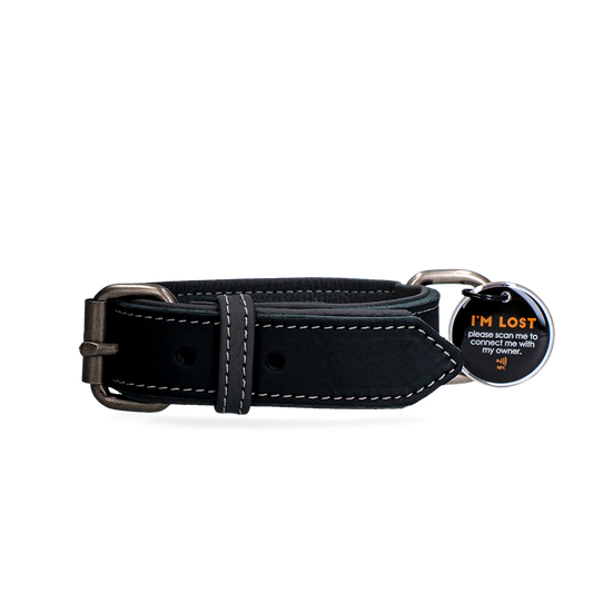 Spotted! Pro Lederhalsband Schwarz 3 x 60 cm