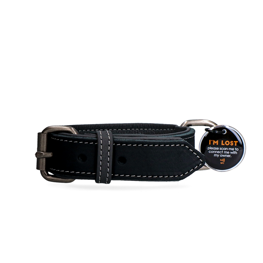 Spotted! Pro Lederhalsband Schwarz 2,5 x 45 cm