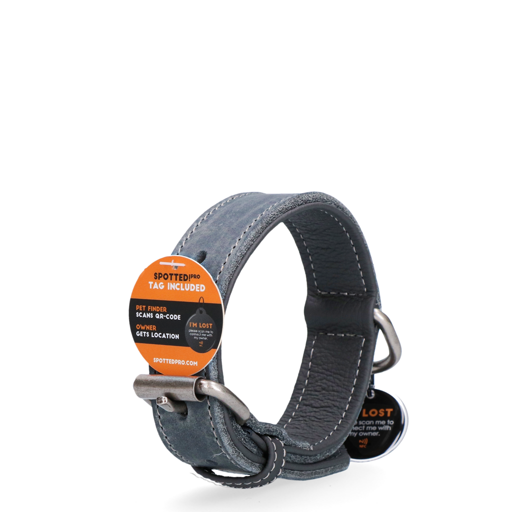 Spotted! Pro Lederhalsband Grau 3 x 60 cm