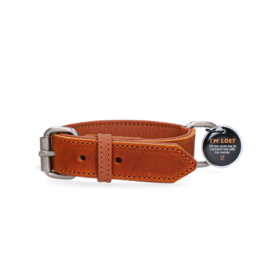 Spotted! Pro Lederhalsband Cognac 2,5 x 40 cm