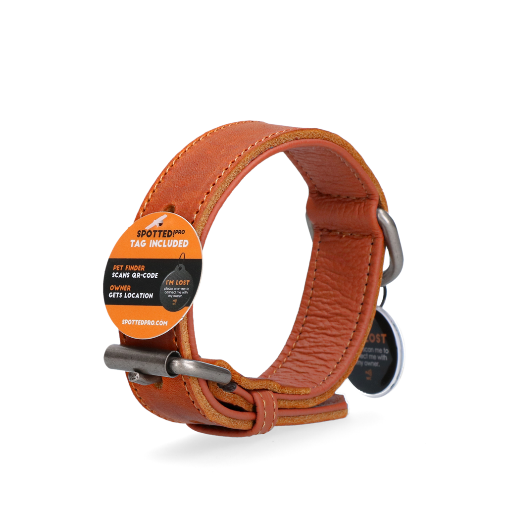 Spotted! Pro Lederhalsband Cognac 3 x 65 cm