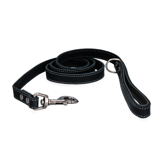 Spotted! Pro Leder Hundeleine Schwarz
