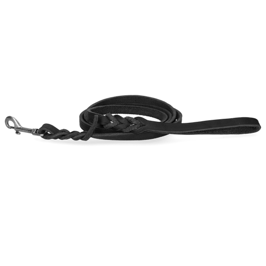 Spotted! Pro Leder Führleine Schwarz 1,6 x 180 cm (Bolzenhaken)