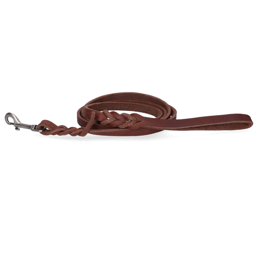 Spotted! Pro Leder Führleine Braun 1,6 x 180 cm (Bolzenhaken)