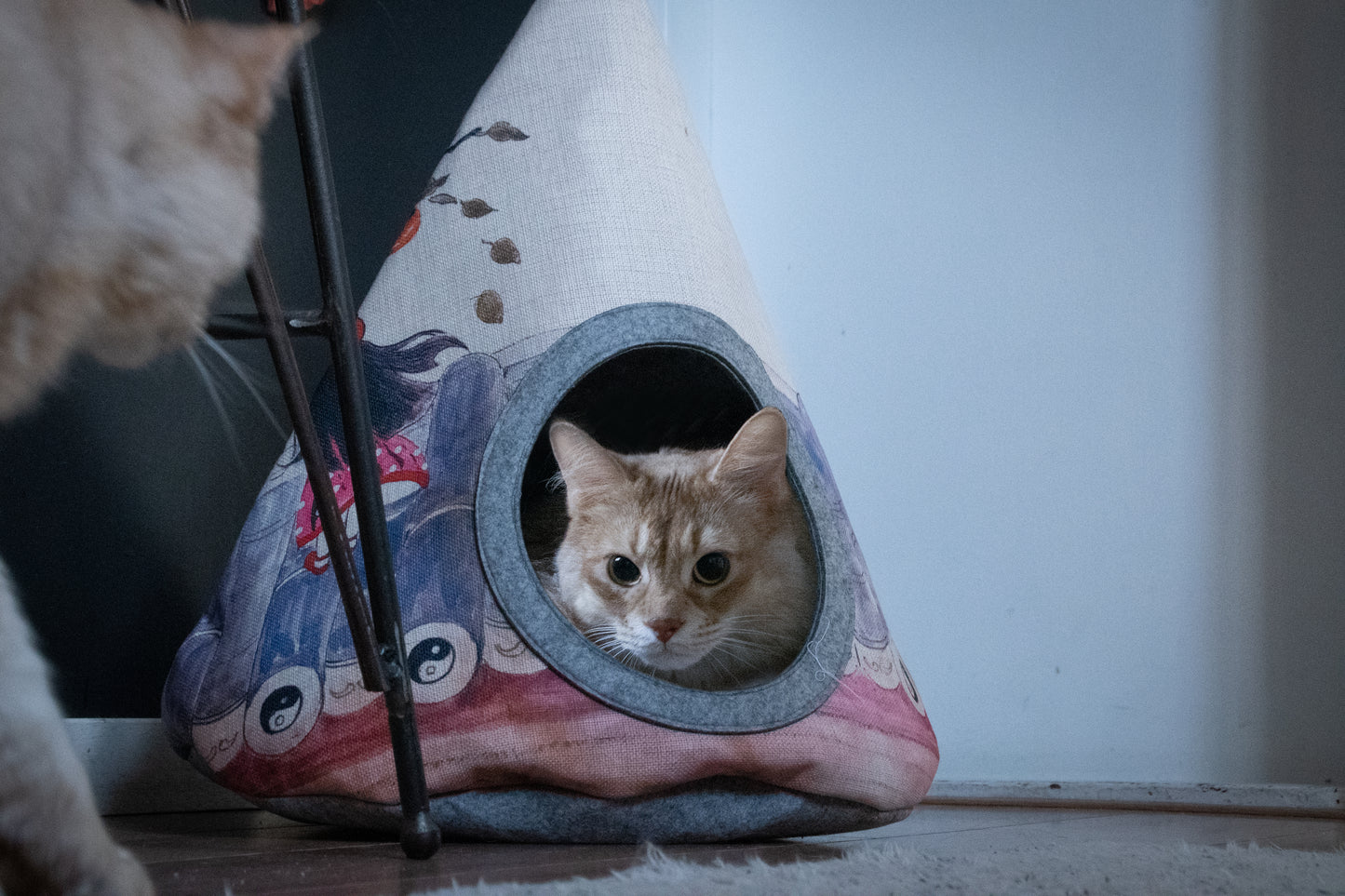 Takara Tipi Yin Yang