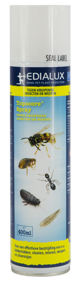 Topscore kriechende Insekten