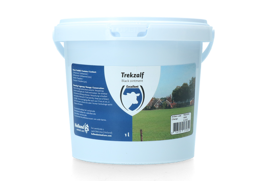 Excellent Zugsalbe 1 l