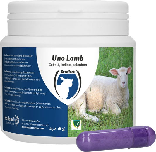 Excellent Uno Lamm 25 x 16 g