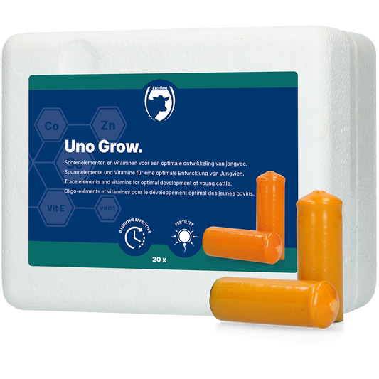Excellent Uno Grow 20 x 112 g by Hoffreund