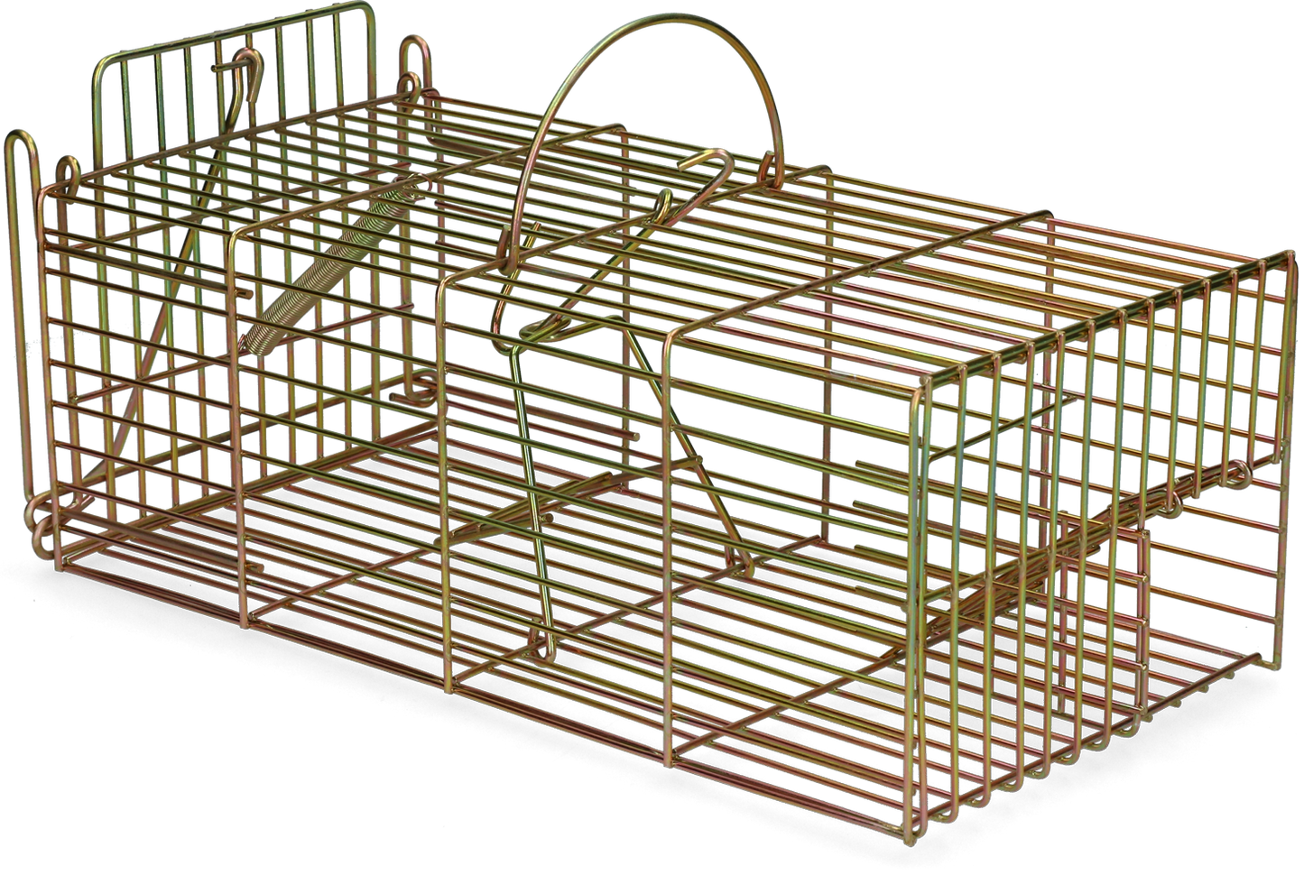 Lebendfalle Ratte zur Multi Fang