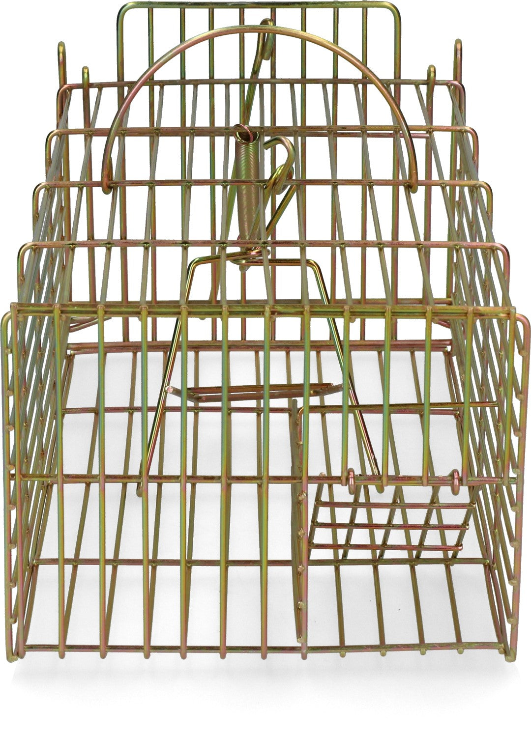 Lebendfalle Ratte zur Multi Fang