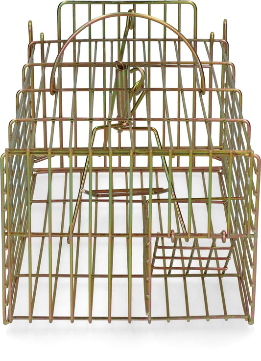 Lebendfalle Ratte zur Multi Fang