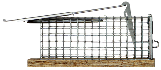 Mausefalle alive "Dura"