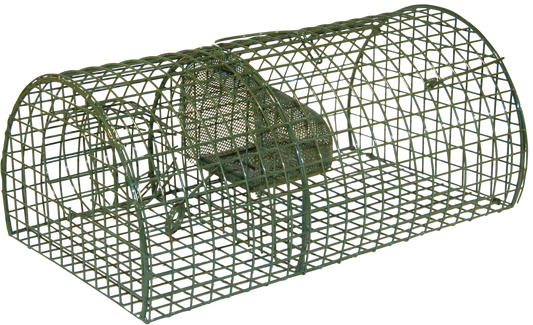 Drahtkäfig Rattenfalle Alive Massa