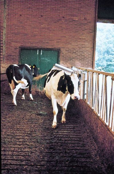 Viehbürste "Vink", Komplett