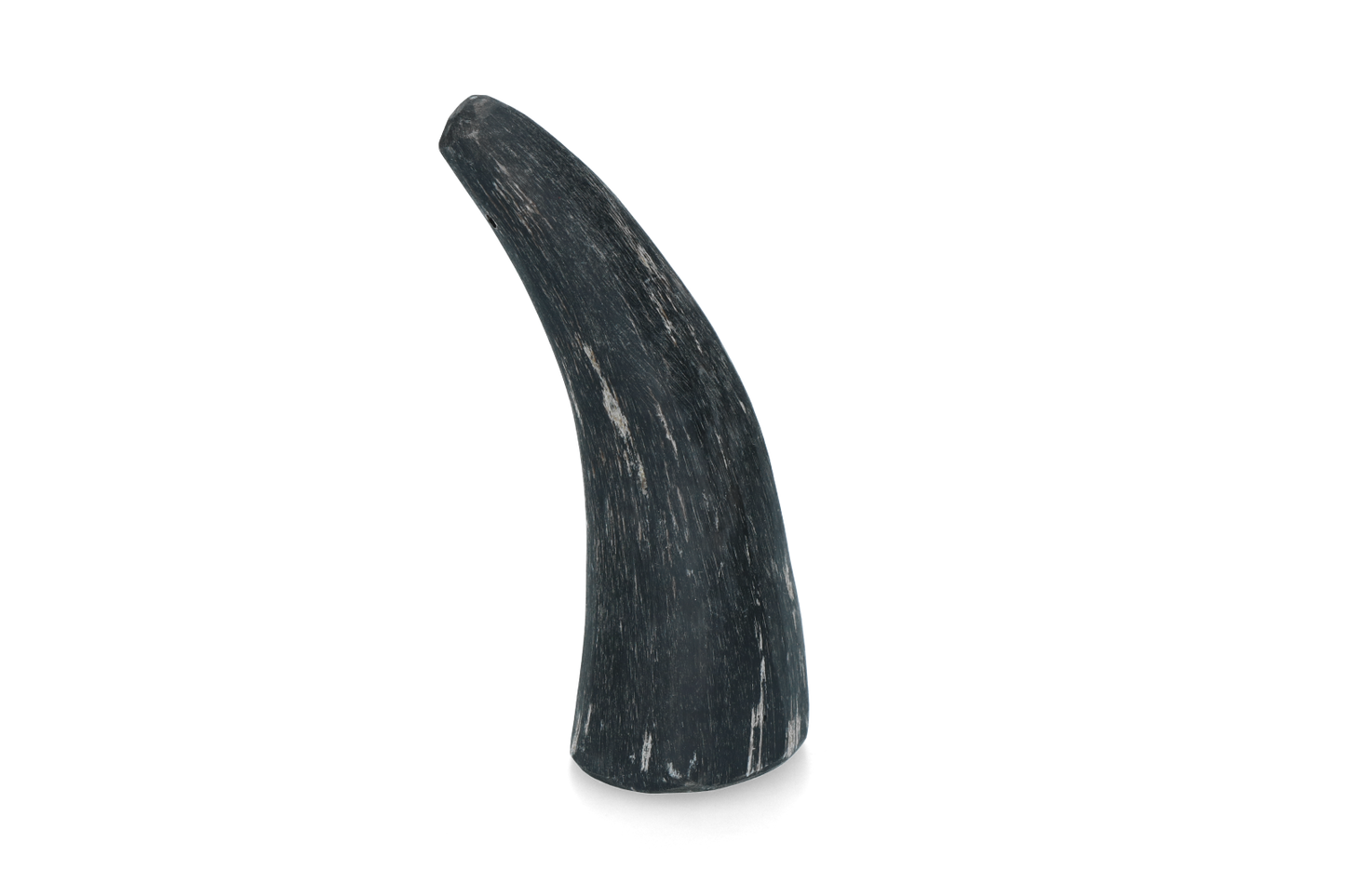 Viking Horn Whole S