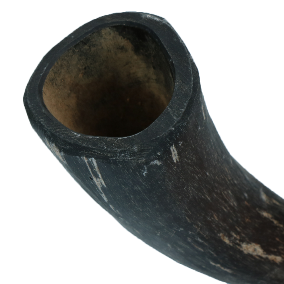 Viking Horn Whole S