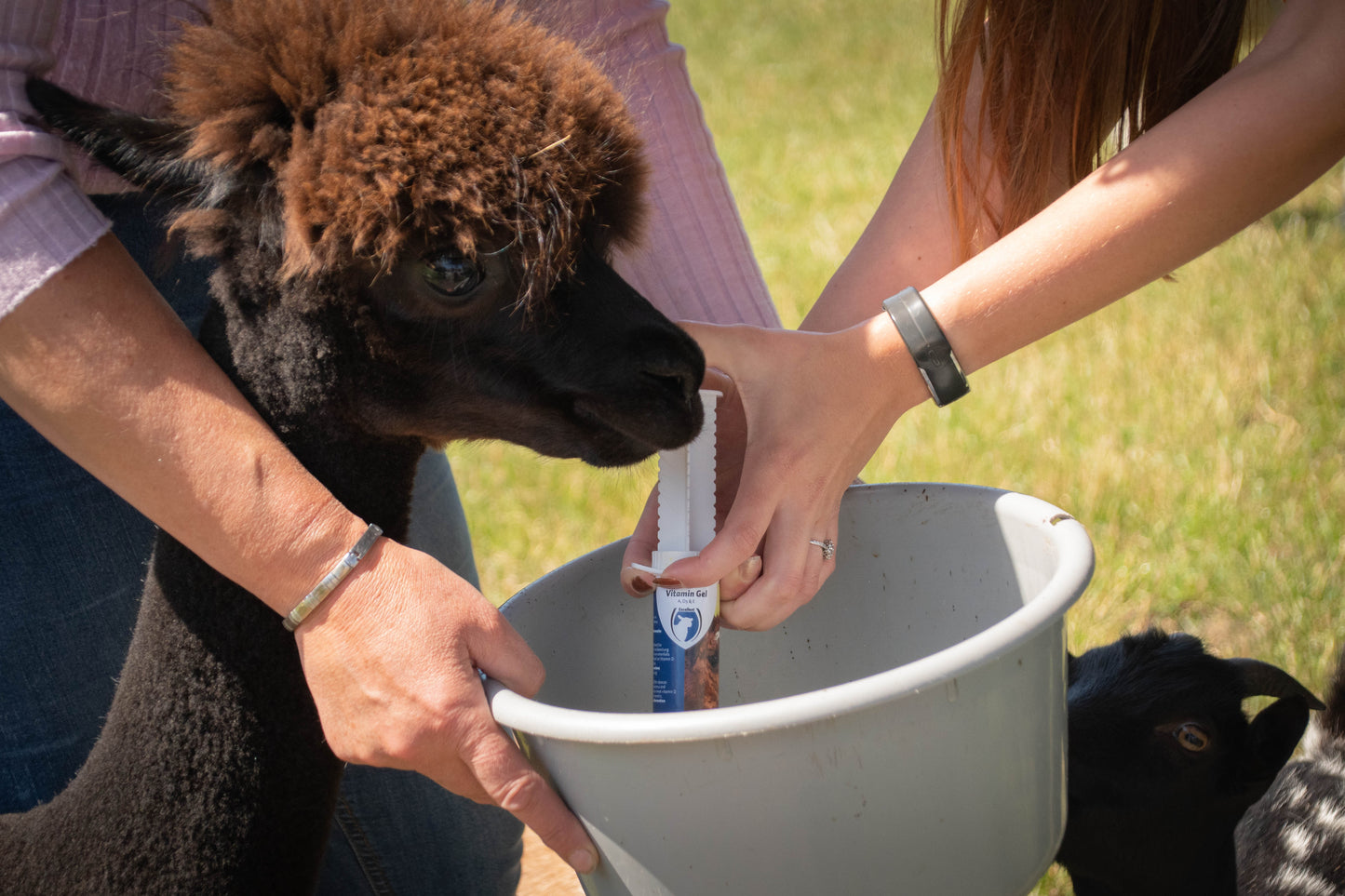 Excellent Vitamine Gel (A, D3 & E) 60 ml