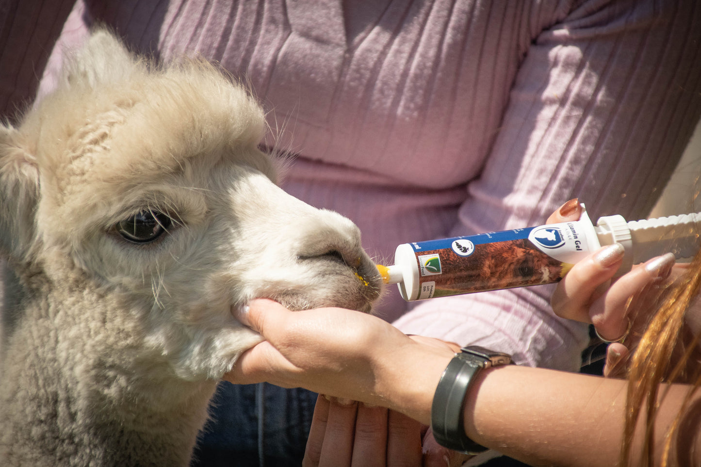 Excellent Vitamine Gel (A, D3 & E) 60 ml