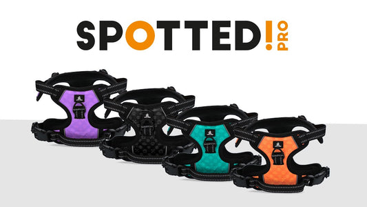 Spotted! Pro No Pull Harnas Orange XXS