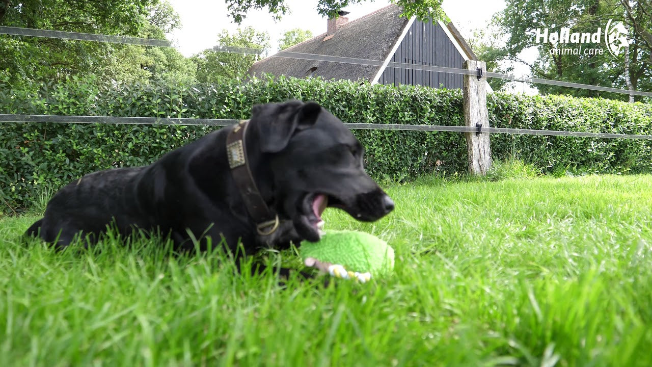 Fuzzle mit 5 Quietschern Nilpferd