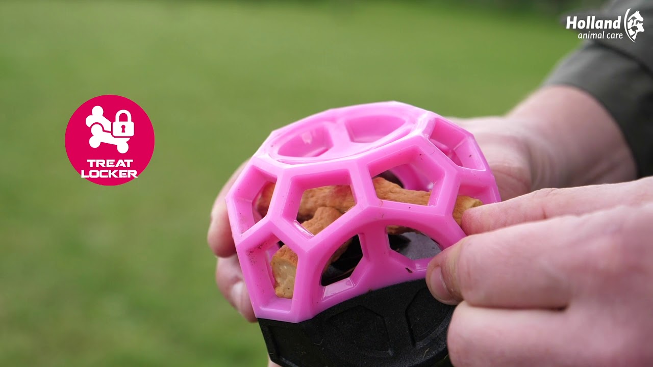 Dog Comets Moonstone Leckerball Rosa