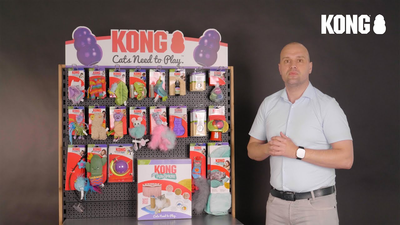 Package Deal KONG Katze