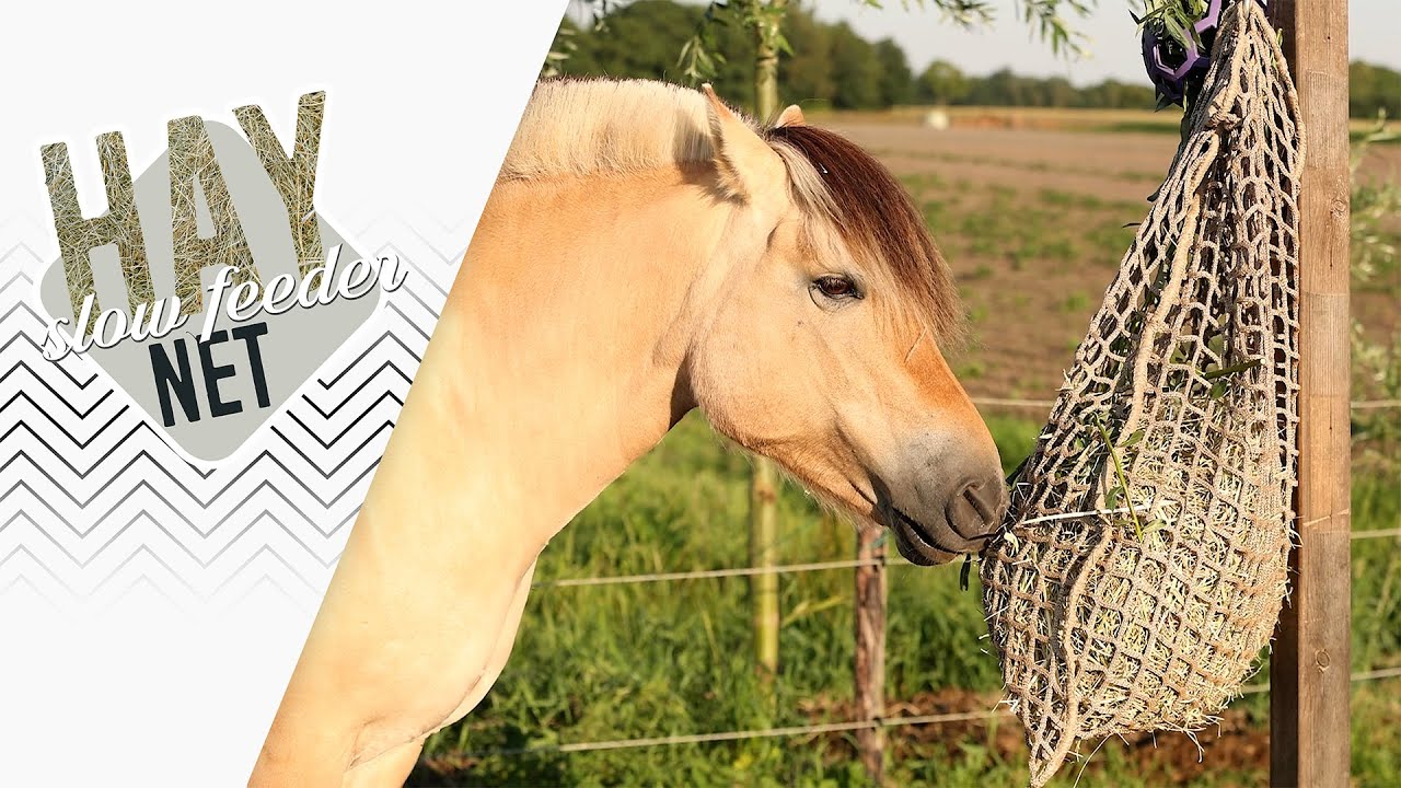 Hay Slow Feeder Net 5 kg (45 mm)