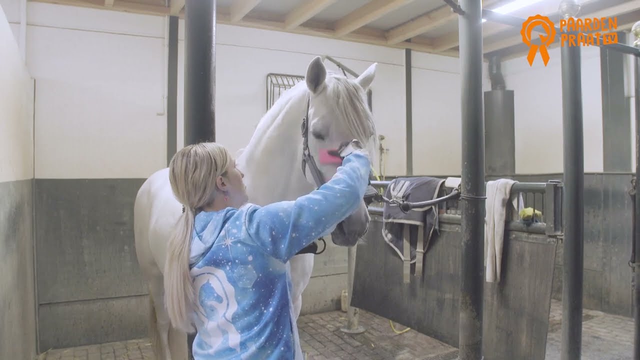 Paardenpraat Grooming Brush Rosa M