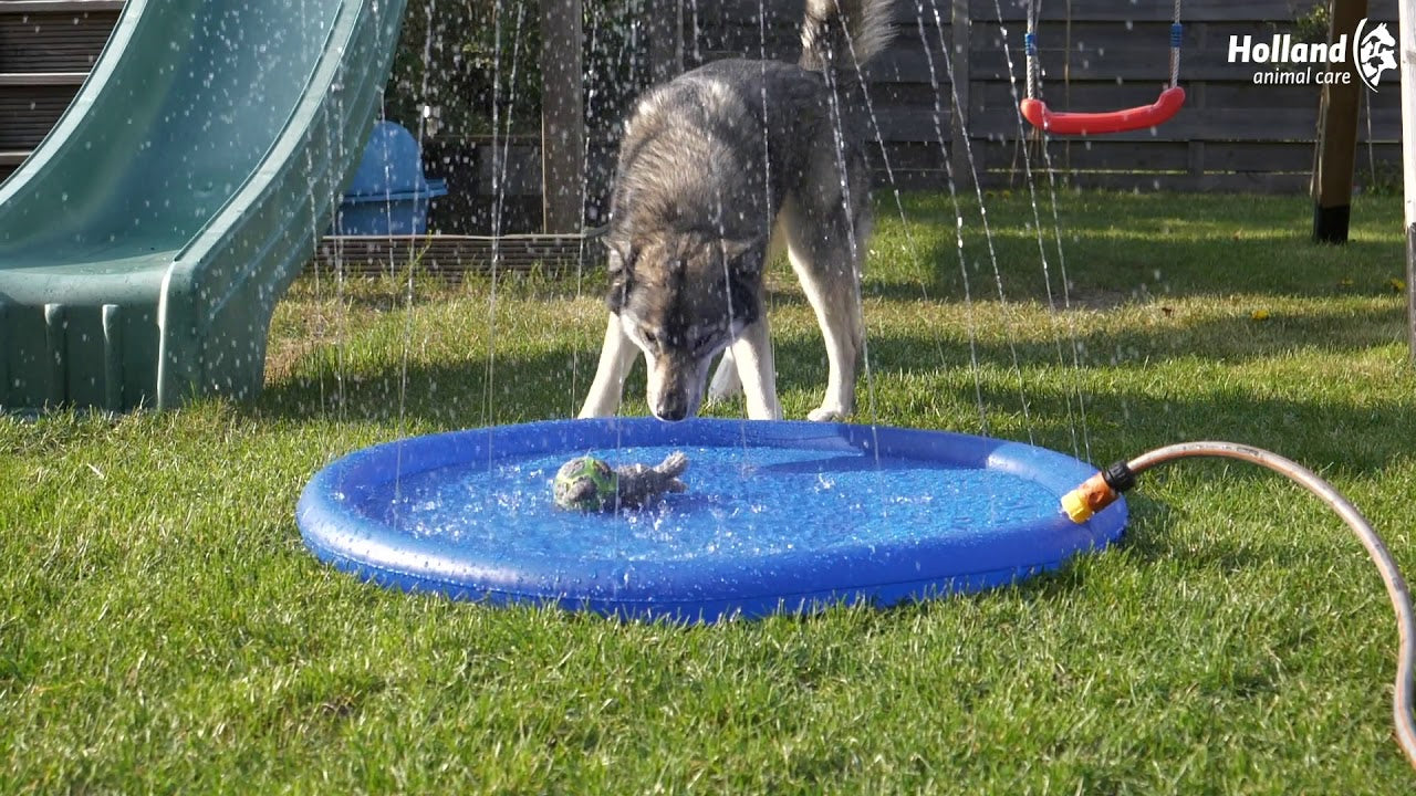 CoolPets Splash Pool Water Sprinkler 100 cm