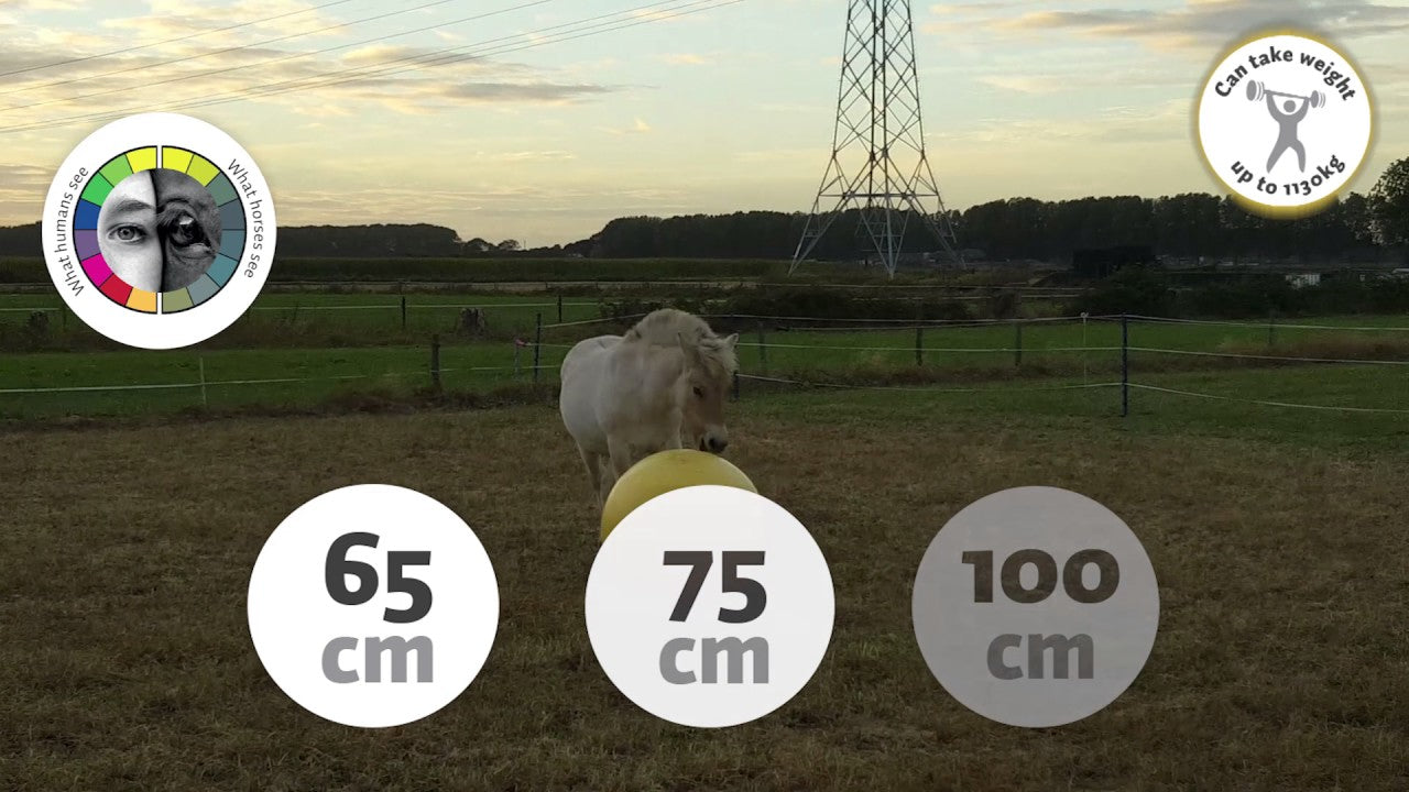 Maximus Power Play Ball 75 cm