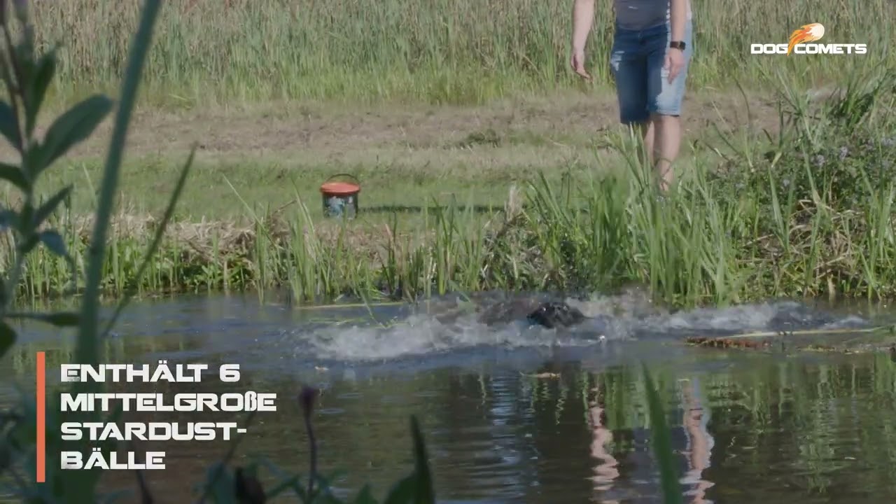 Dog Comets Meteor Shower (Eimer mit 6 M Stardust-Spielbällen)