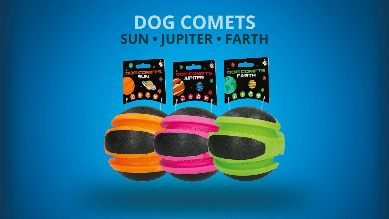 Dog Comets Planets Rosa
