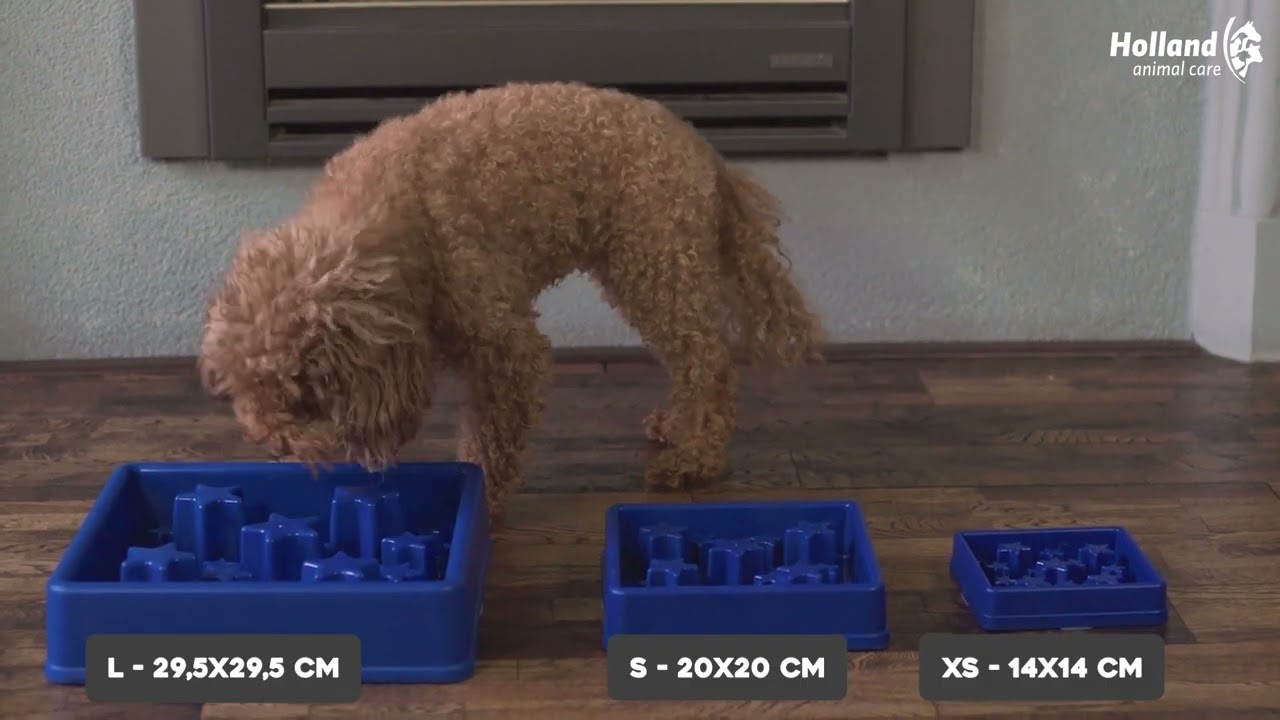 Eat Slow Live Longer Star Rot XS