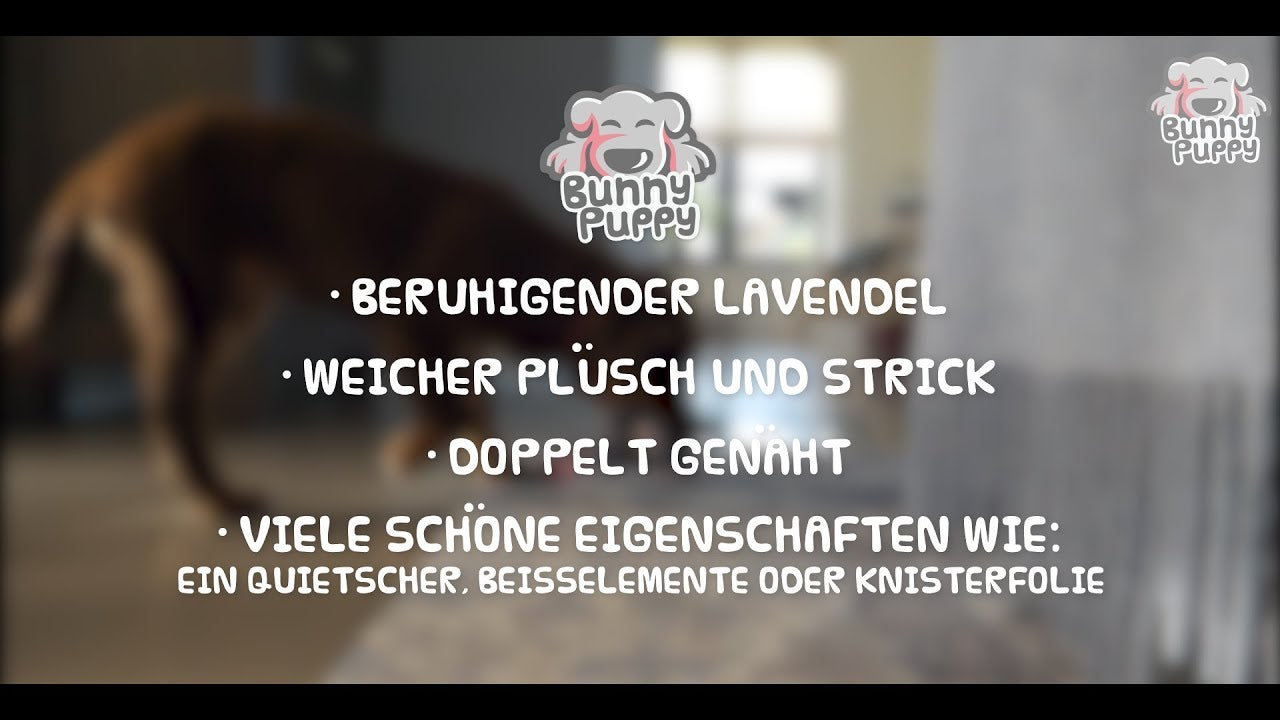 Bunny Puppy Crunchy Knot