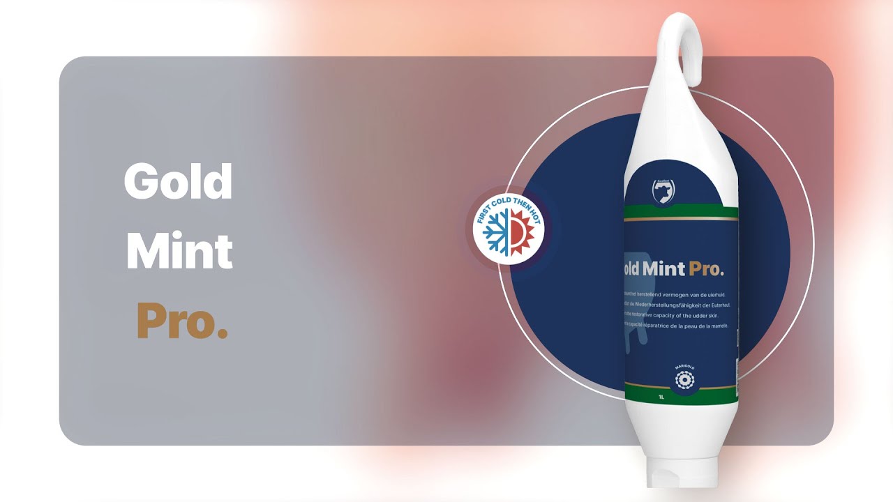 Excellent Gold Mint Pro Steh- und Hängeflasche 1 l