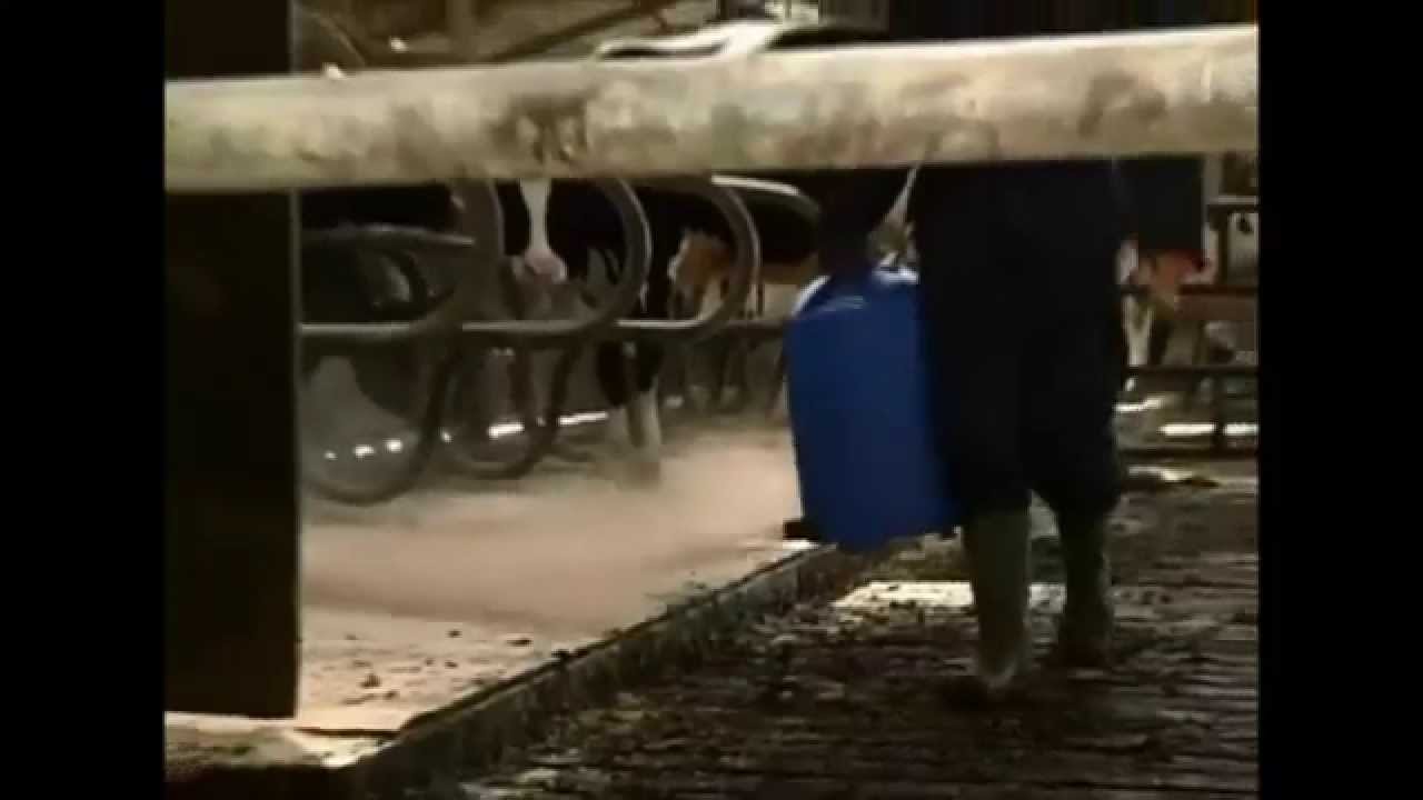 Vink Pulververteiler