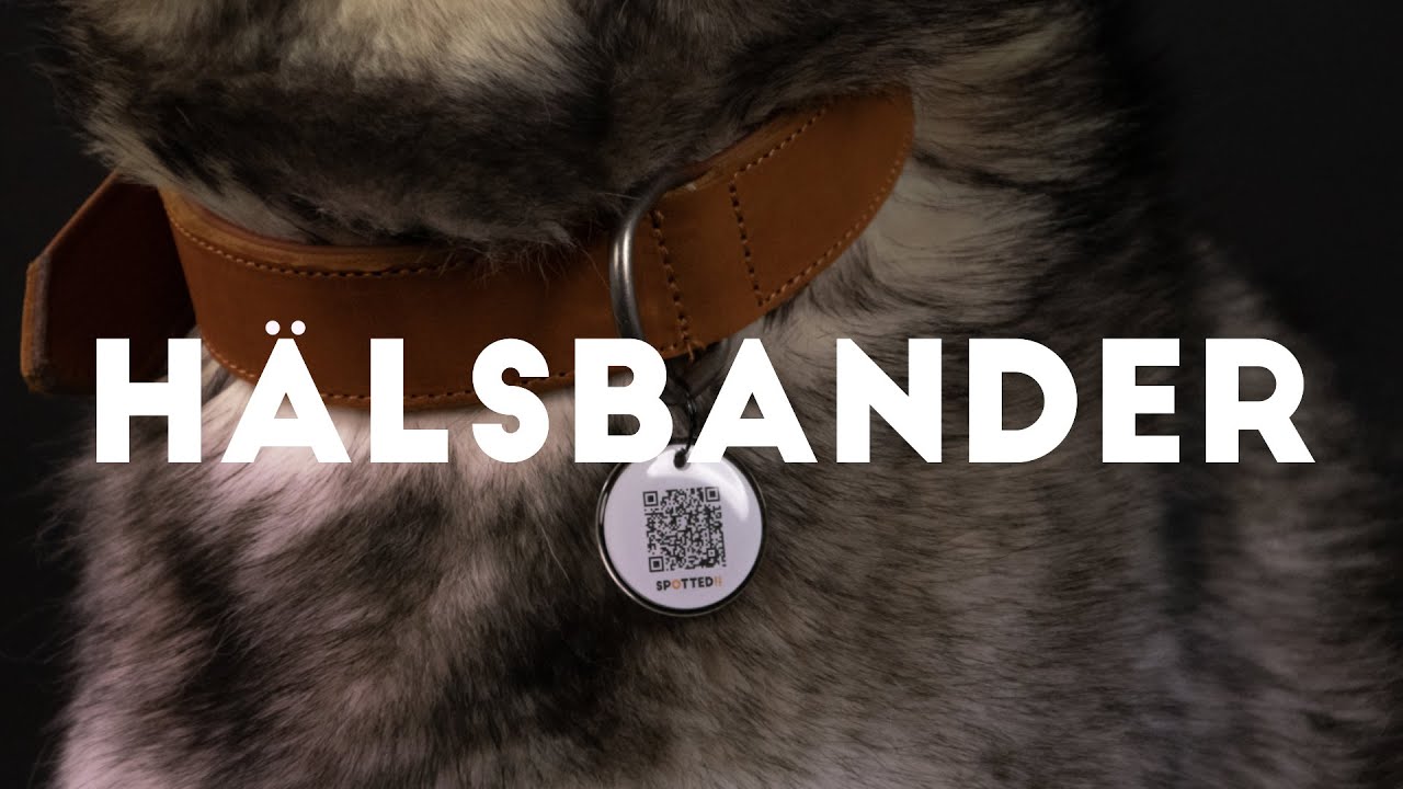 Spotted! Pro Lederhalsband Braun 3 x 65 cm