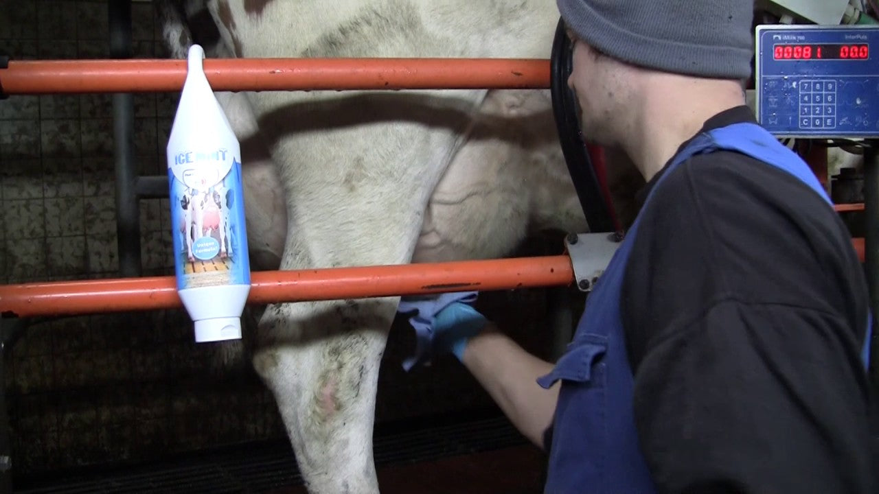 Ice Mint Gel 2,5 l mit Dosierpumpe